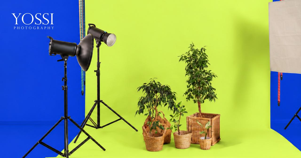Family Photoshoot